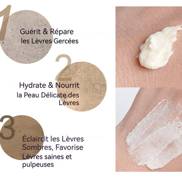 Gommage à lèvres 20g pour exfoliation des lèvres/blanchiment des lèvres gommage pour les lèvres baume à lèvres gommage lèvres lip